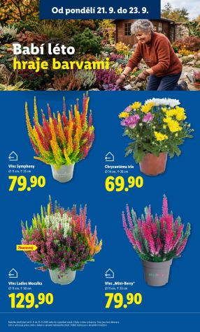 aktuální leták Lidl 21.9.2026-23.9.2026