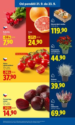 aktuální leták Lidl 21.9.2026-23.9.2026