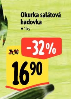 Okurka salátová hadovka