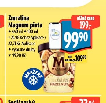 Zmrzlina Magnum pinta