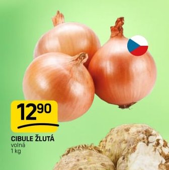 CIBULE ŽLUTÁ