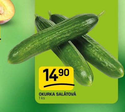 OKURKA SALÁTOVÁ