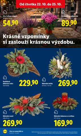 aktuální leták Lidl 22.10.2026-25.10.2026