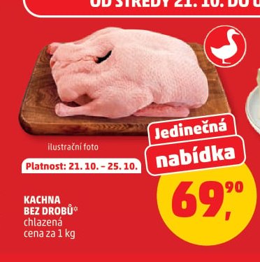 Kachna bez drobů