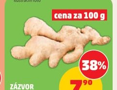 Zázvor