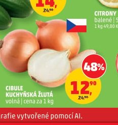 Cibule kuchyňská žlutá