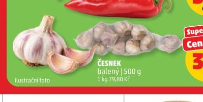 ČESNEK
