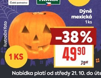Dýně mexická